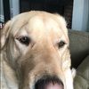 mollydolly_g